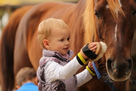 Aliana Mueller - Mom-Baby Riding