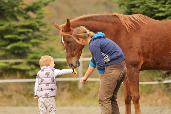 Aliana Mueller - Equine-Assisted Therapy